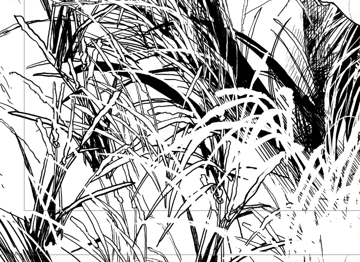 海岸に生えてる草ブラシ　