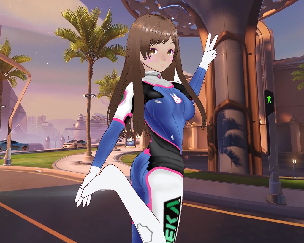 Dva Suit And Gloves