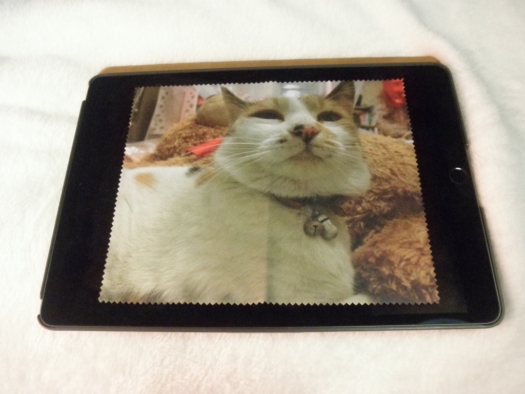 鼻まわり汚れ隊こなつクロス