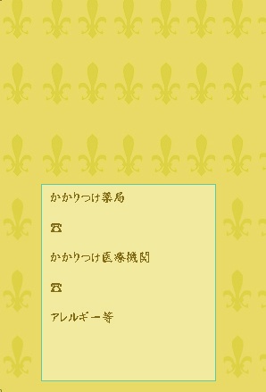 ロレーヌ十字おくすり手帳