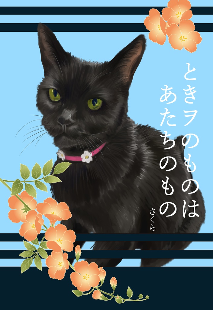 あっぱれねこびよりポストカード