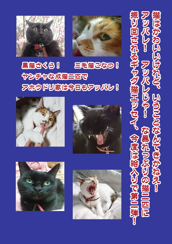 絵入り猫エッセイ:天晴猫日和・弐(あっぱれねこびより・に)