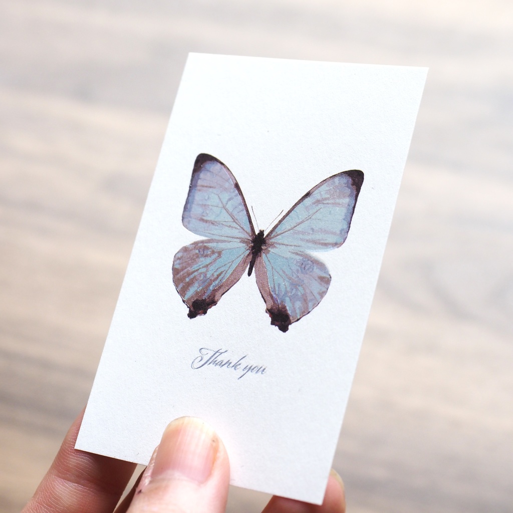 スルコウスキーモルフォの箔押しサンクスカード(5枚入り)