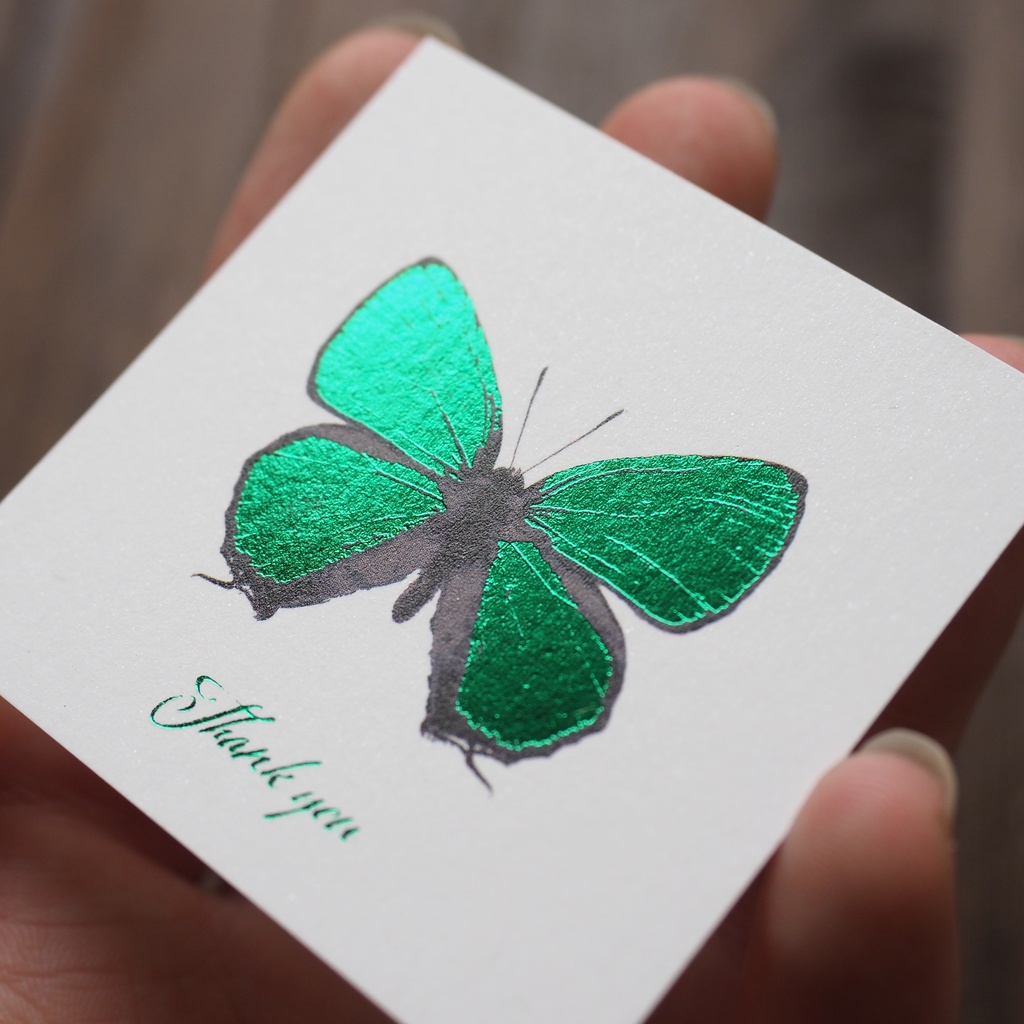 キリシマミドリシジミの箔押しサンクスカード(5枚セット)