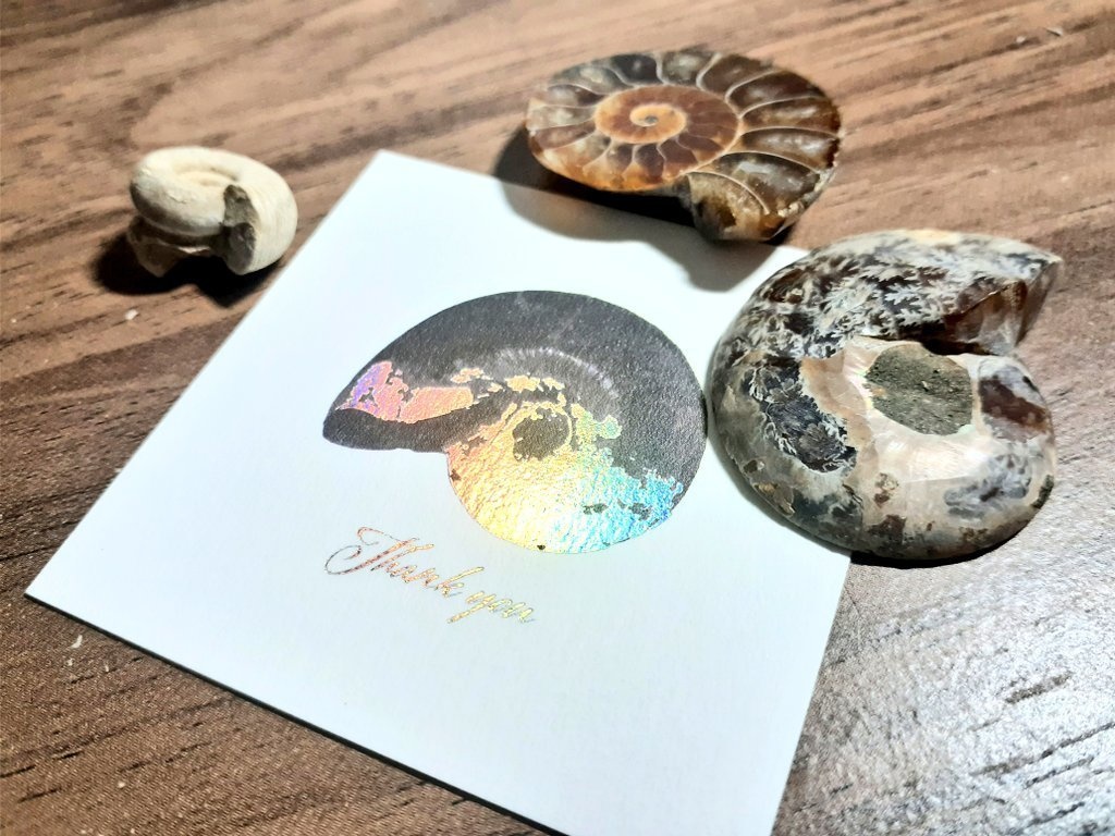 ホロ箔アンモライトのサンクスカード（5枚入り）