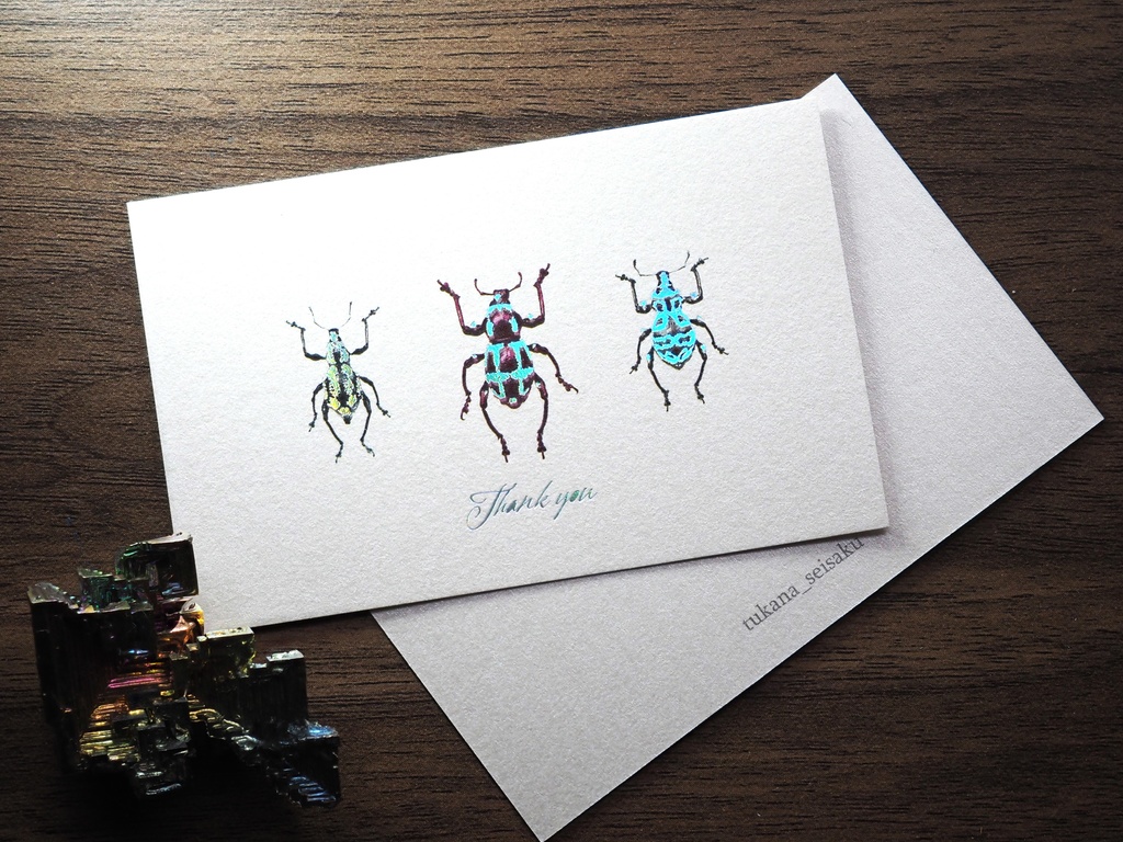 カタゾウムシの箔押しサンクスカード(5枚入り)