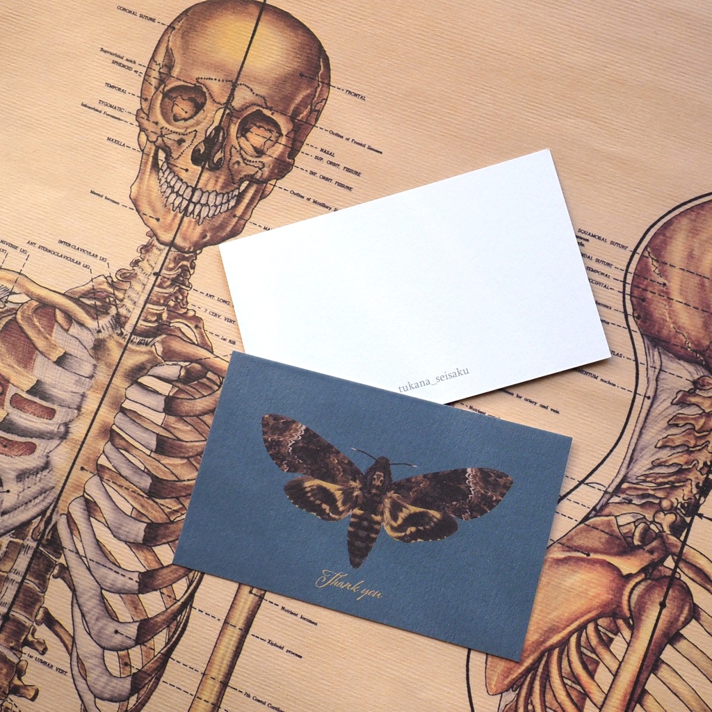 クロメンガタスズメのサンクスカード（5枚入り）