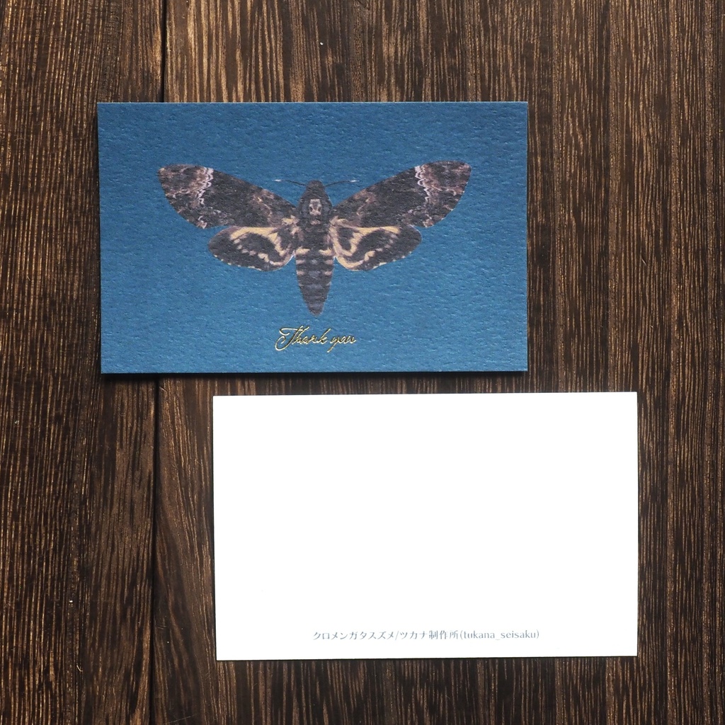 クロメンガタスズメのサンクスカード(5枚入り)