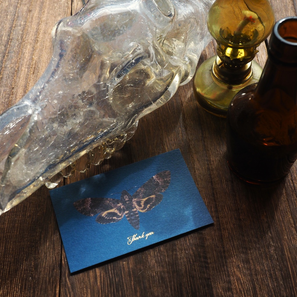 クロメンガタスズメのサンクスカード（5枚入り）