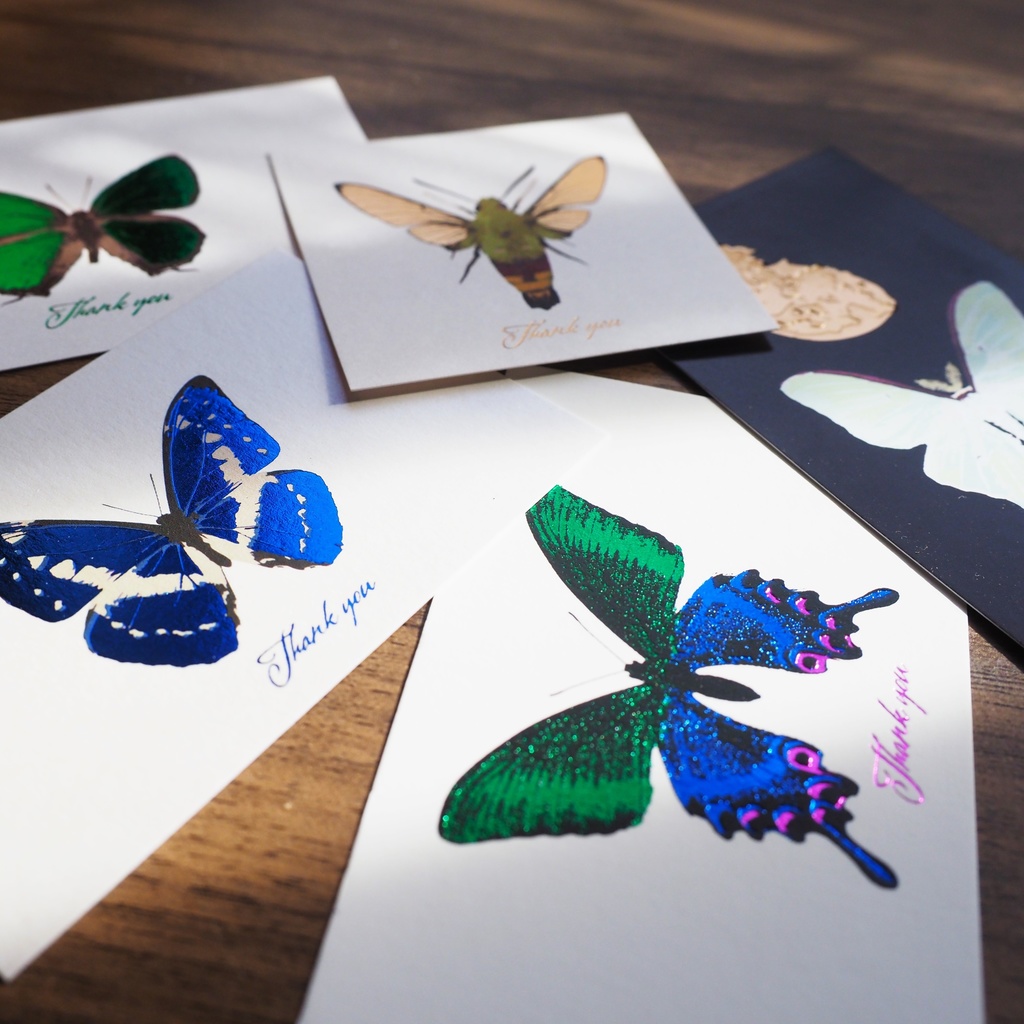 サンクスカードランダムセット(5枚入り)