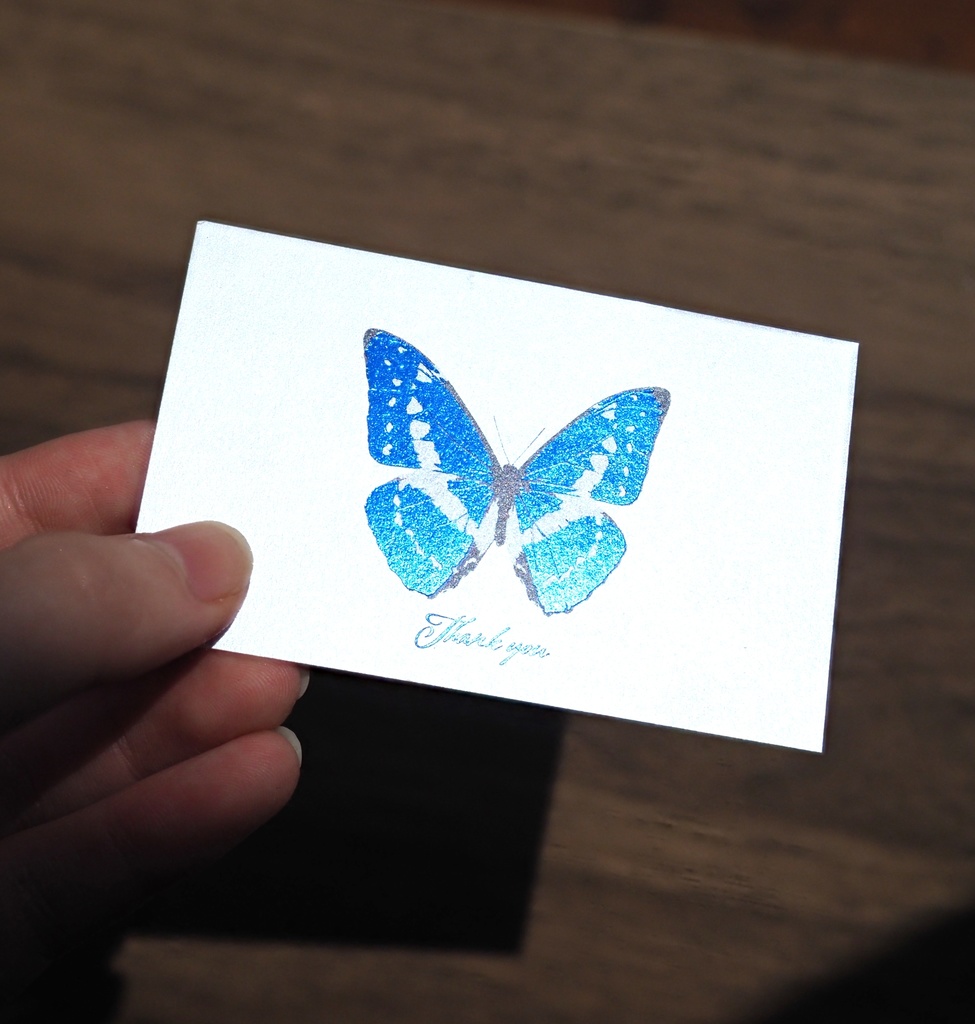 サンクスカード セレクト5種類セット