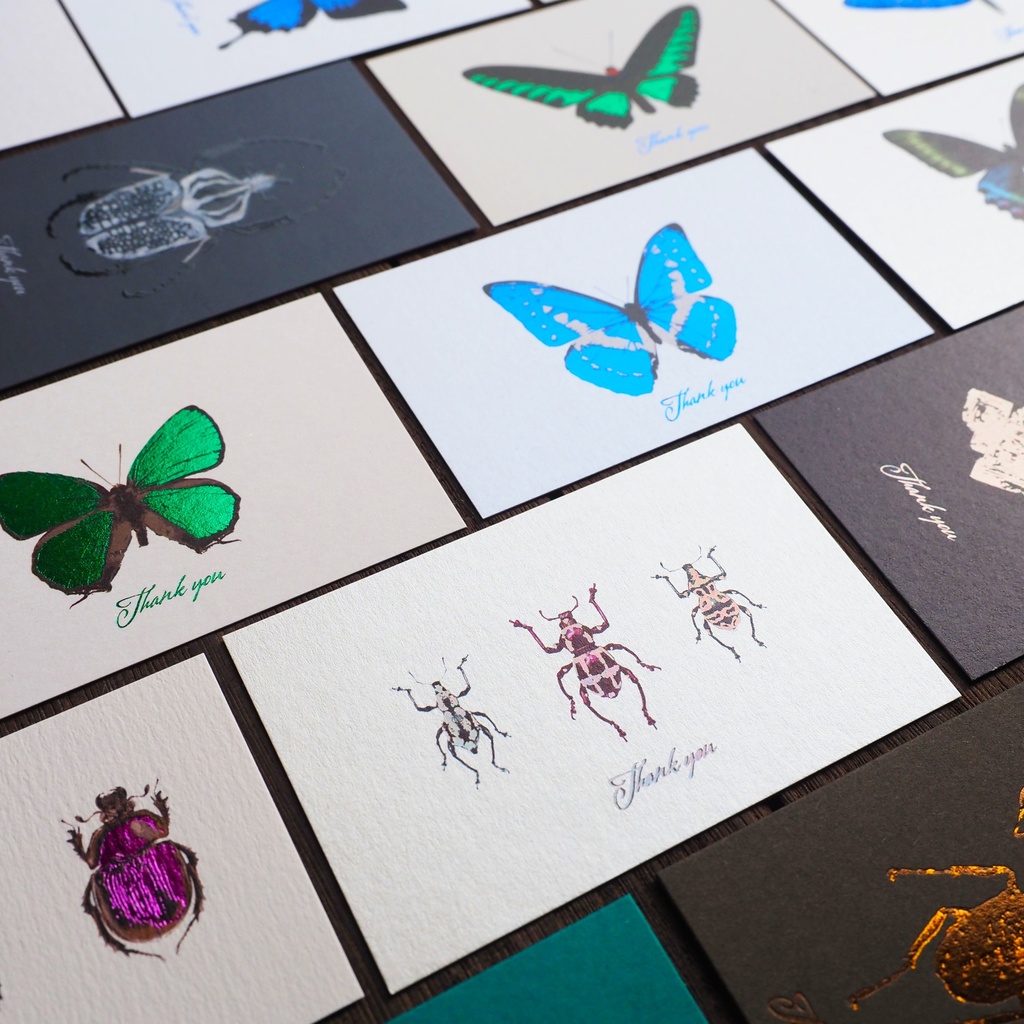 サンクスカード セレクト5種類セット