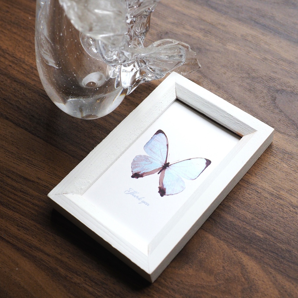 サンクスカード セレクト5種類セット