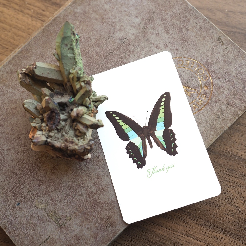 アオスジアゲハの白色petサンクスカード 5枚入り ツカナ制作所 Booth