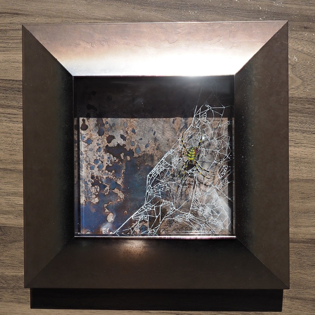 闇雲無性（ジョロウグモと蜘蛛の巣の半立体画）