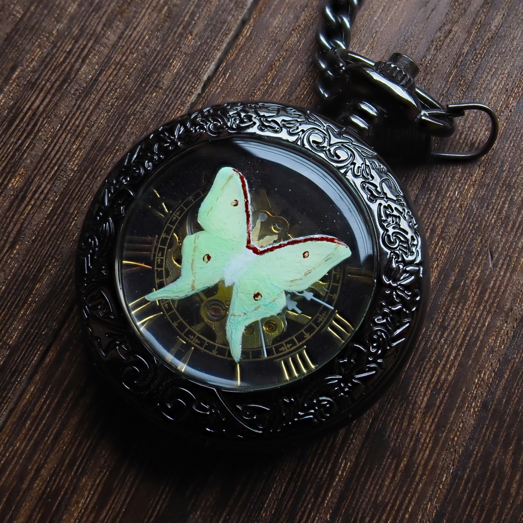 オオミズアオの手巻き式懐虫時計