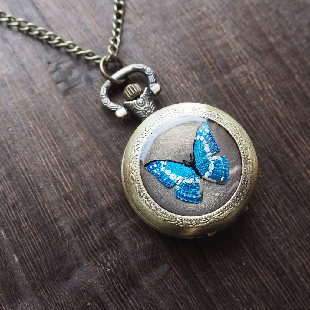 手描きキプリスモルフォの懐虫時計