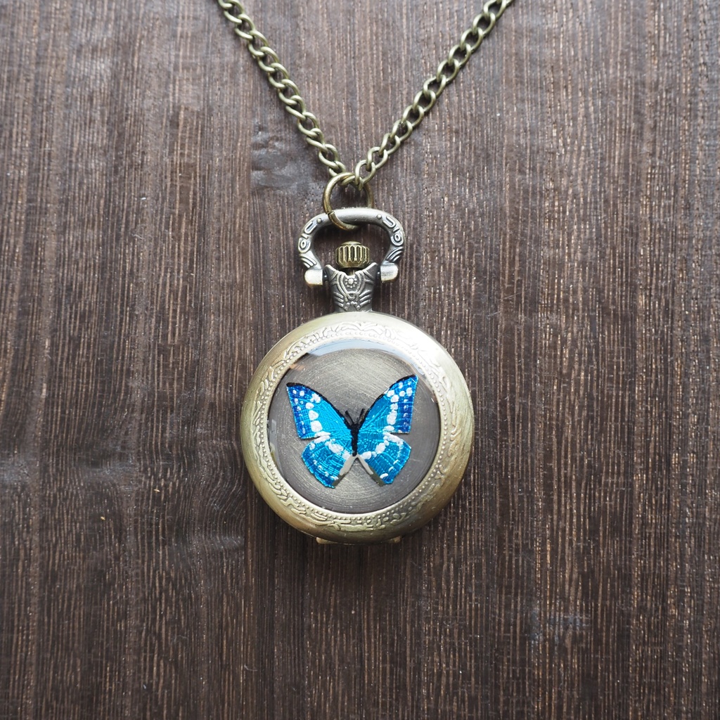 手描きキプリスモルフォの懐虫時計