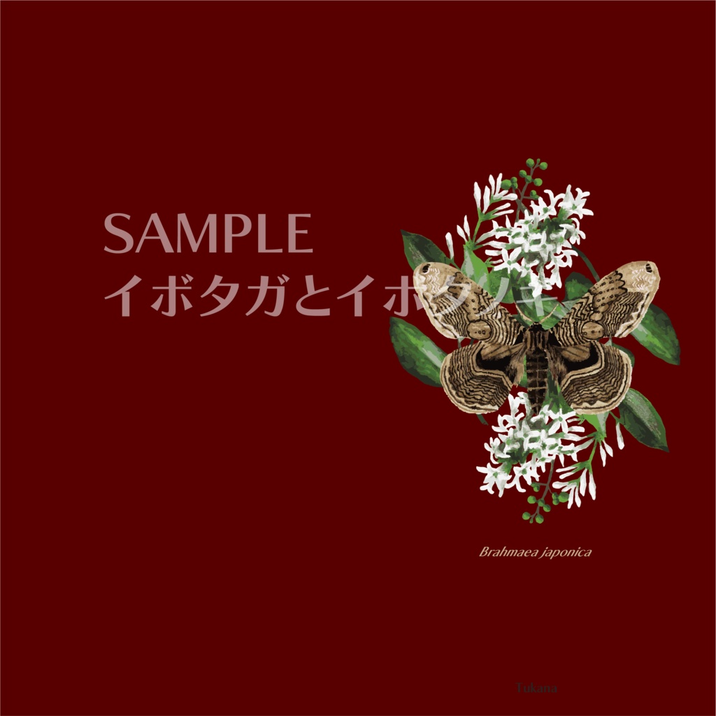 名刺・カードホルダー(全6種)