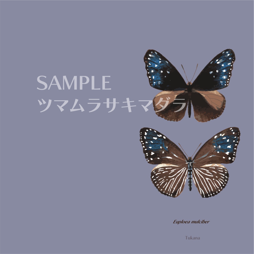 名刺・カードホルダー(全6種)