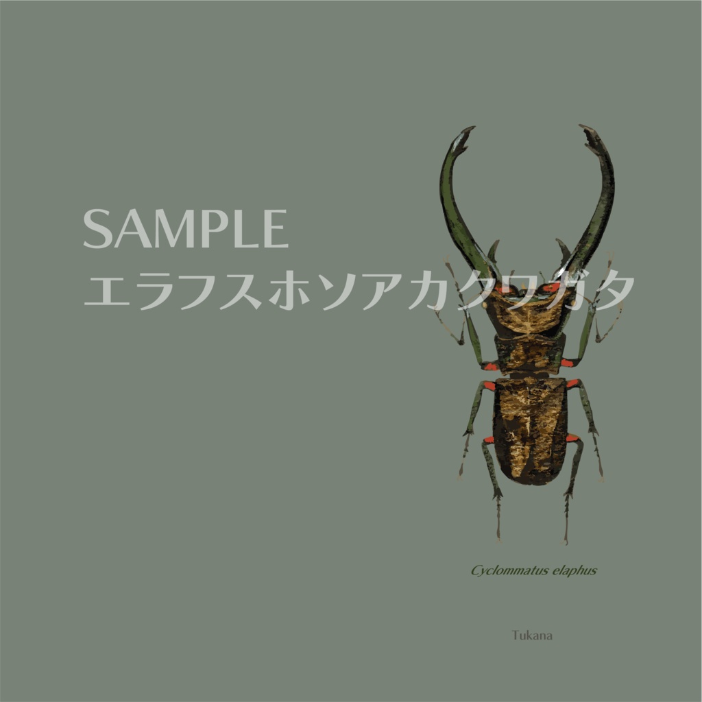 名刺・カードホルダー(全6種)