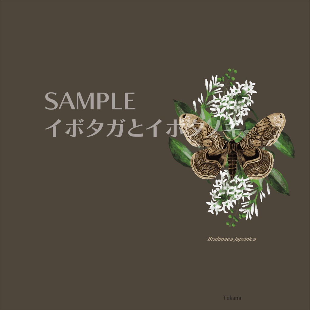 名刺・カードホルダー(全6種)