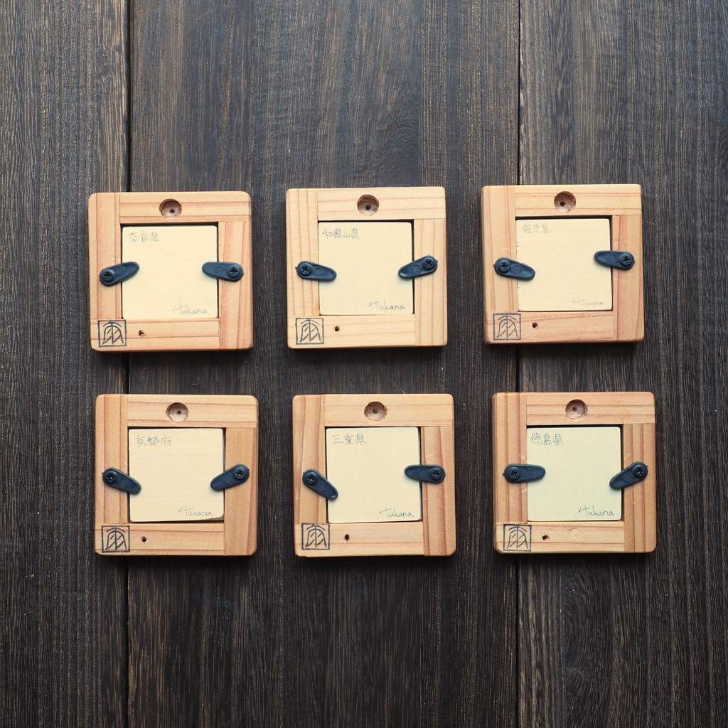 オオセンチコガネの豆標本画