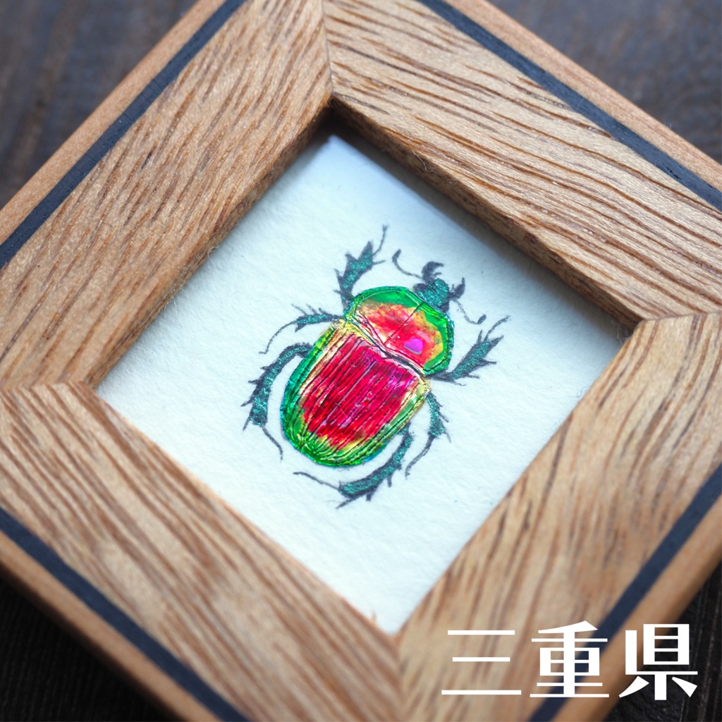 オオセンチコガネの豆標本画