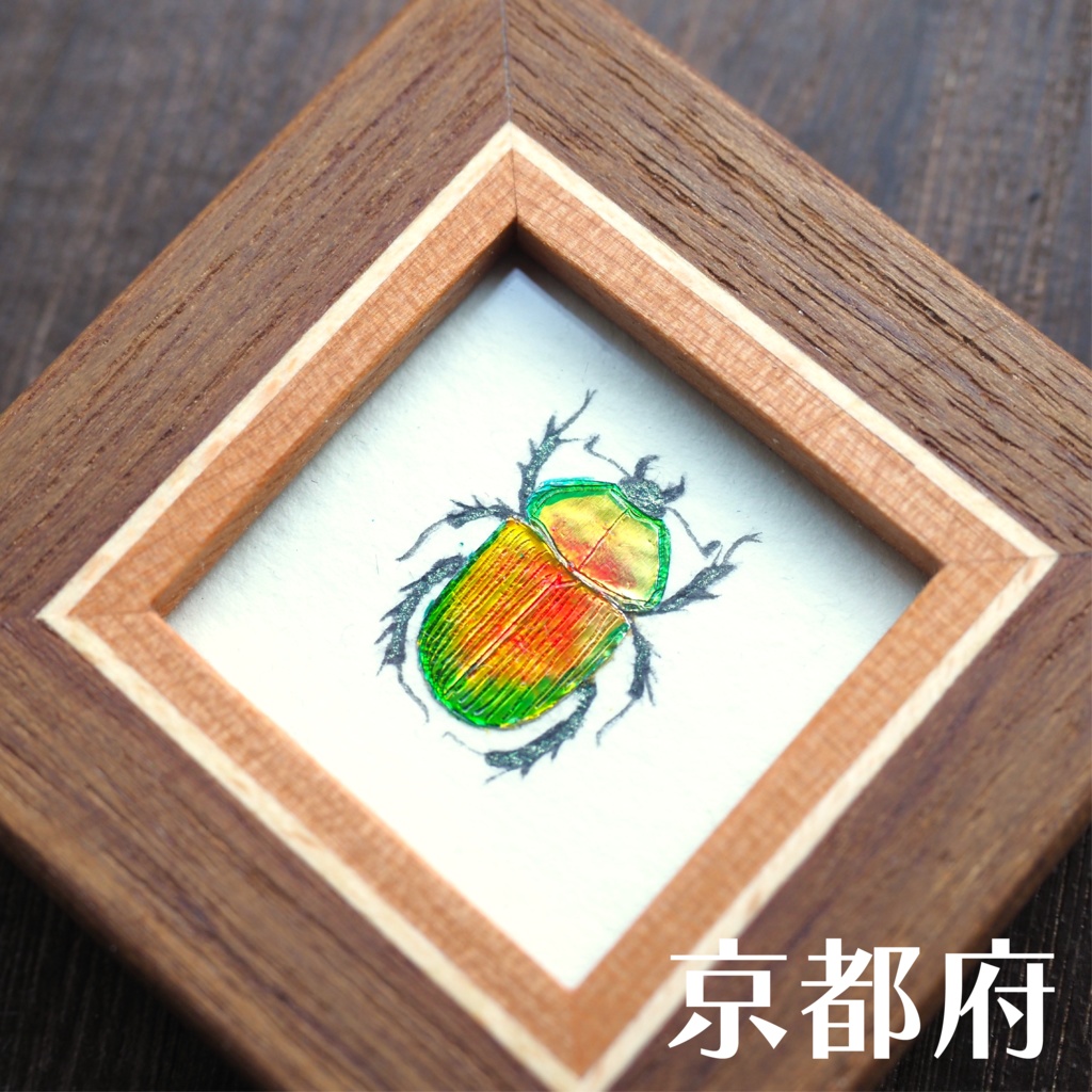 オオセンチコガネの豆標本画