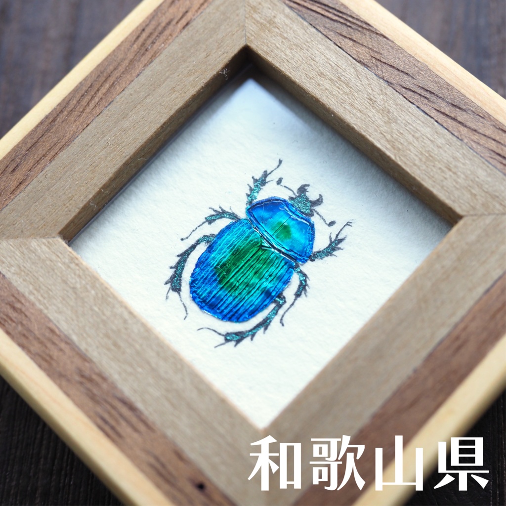 オオセンチコガネの豆標本画