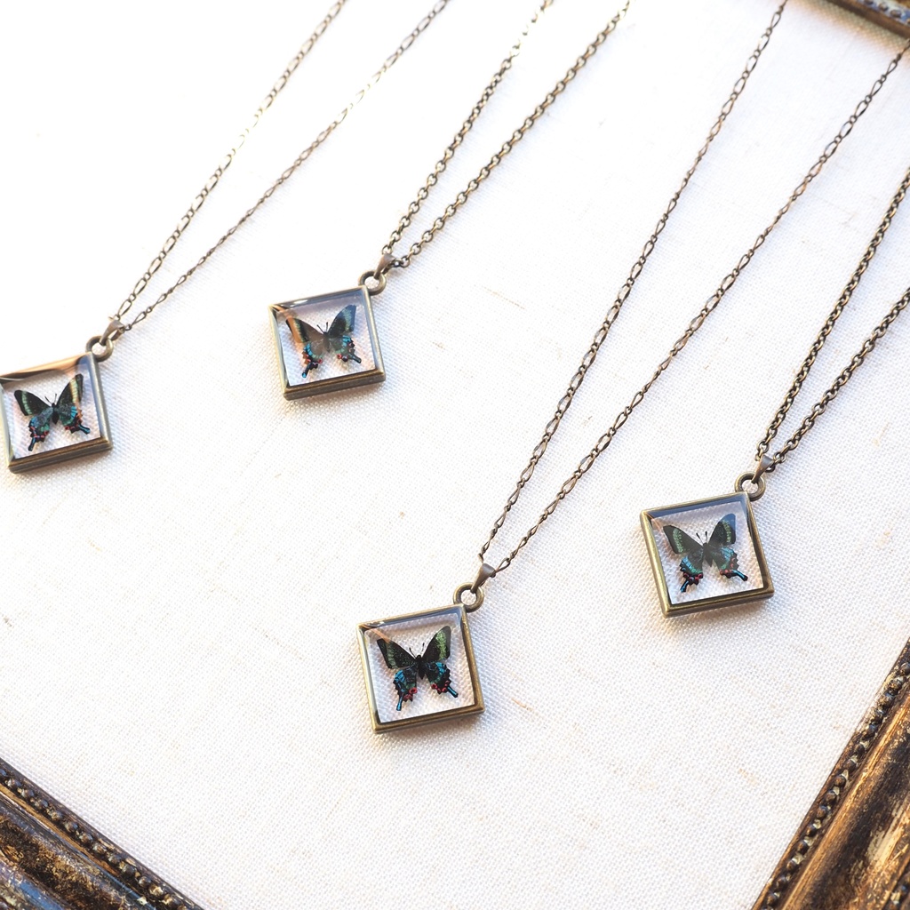ミヤマカラスアゲハのネックレス【パーツ交換可能】