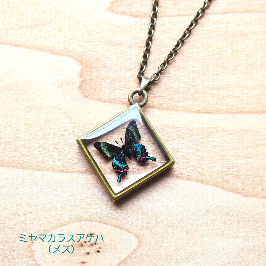 ミヤマカラスアゲハのネックレス【パーツ交換可能】