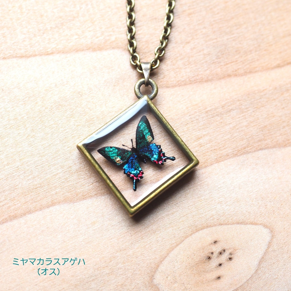 ミヤマカラスアゲハのネックレス【パーツ交換可能】