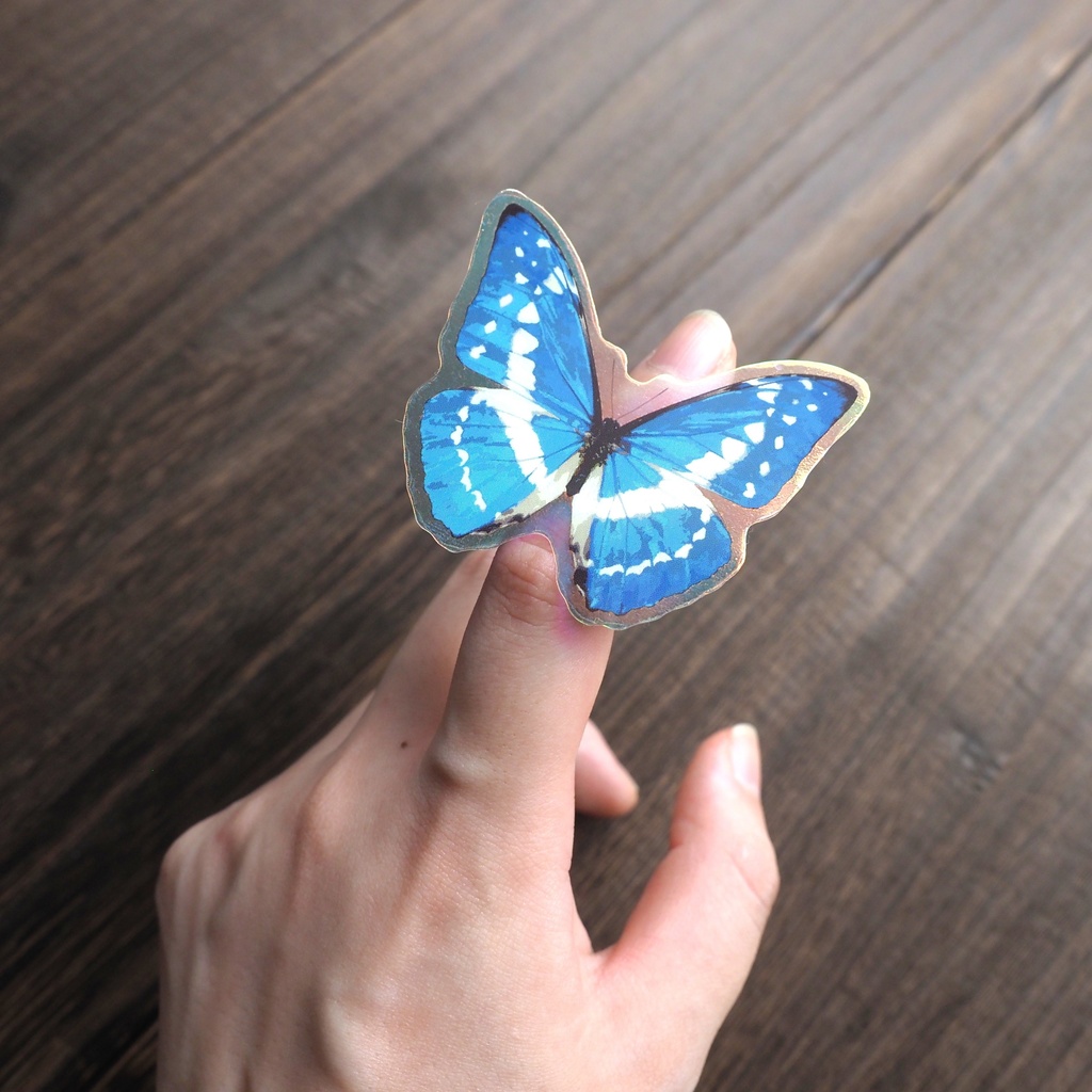 キプリスモルフォのオーロラステッカー