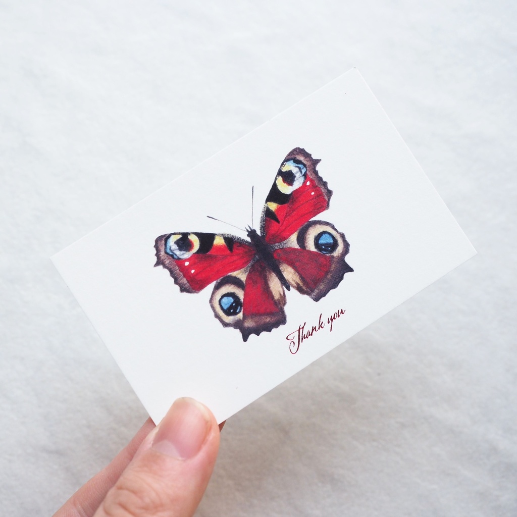 クジャクチョウの箔押しサンクスカード(5枚入り)