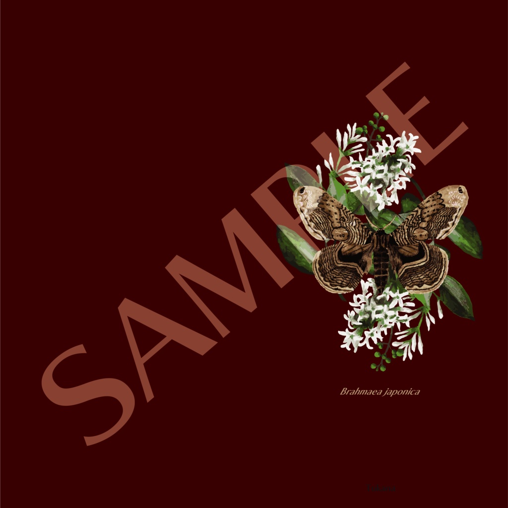 イボタガのカード・名刺ホルダー(ブラウン・ワインレッド)