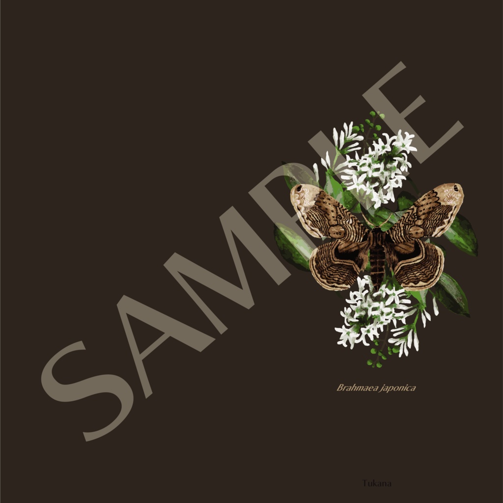 イボタガのカード・名刺ホルダー(ブラウン・ワインレッド)