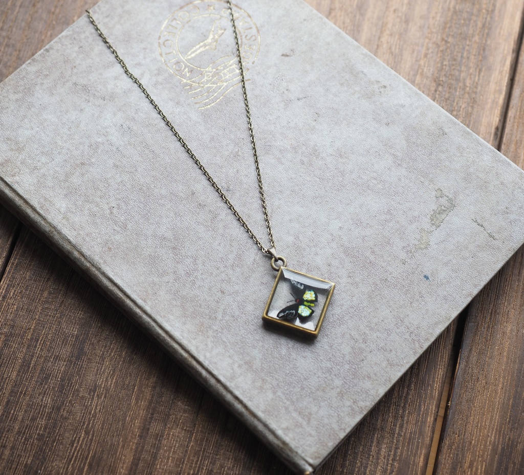 【7/23~販売開始】手描きコウトウキシタアゲハのネックレス(パーツ交換可)