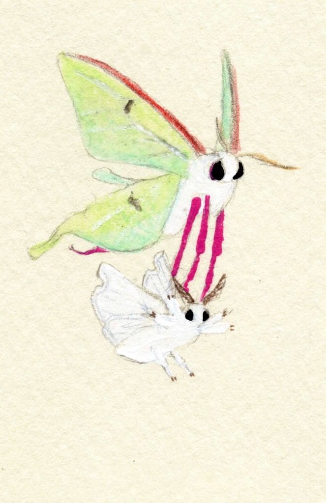 【ランダム受注後制作】ミニドローイング:ふわふわな方々(Fluffy fellows)