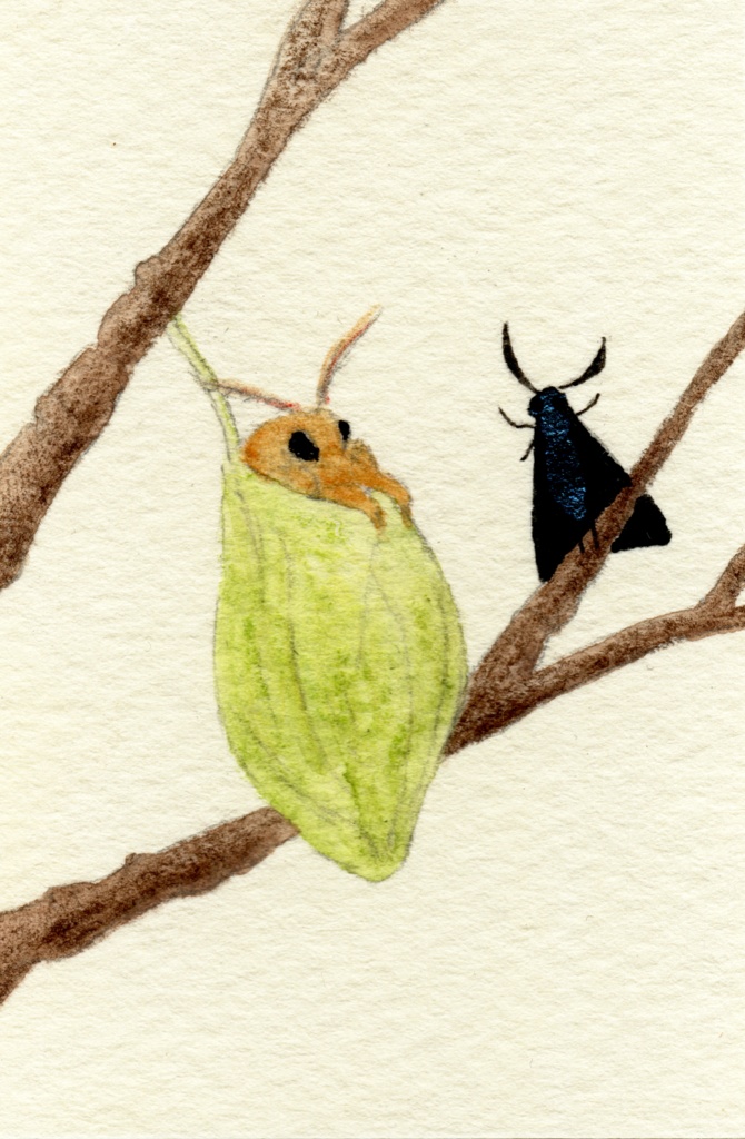 【ランダム受注後制作】ミニドローイング:ふわふわな方々(Fluffy fellows)