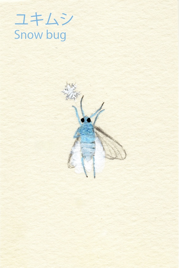 ミニドローイング:ふわふわな方々(Fluffy fellows)