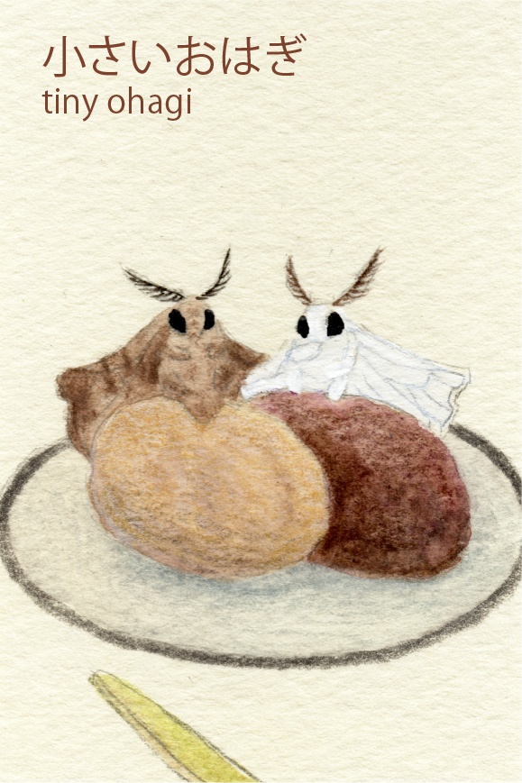 ミニドローイング:ふわふわな方々(Fluffy fellows)