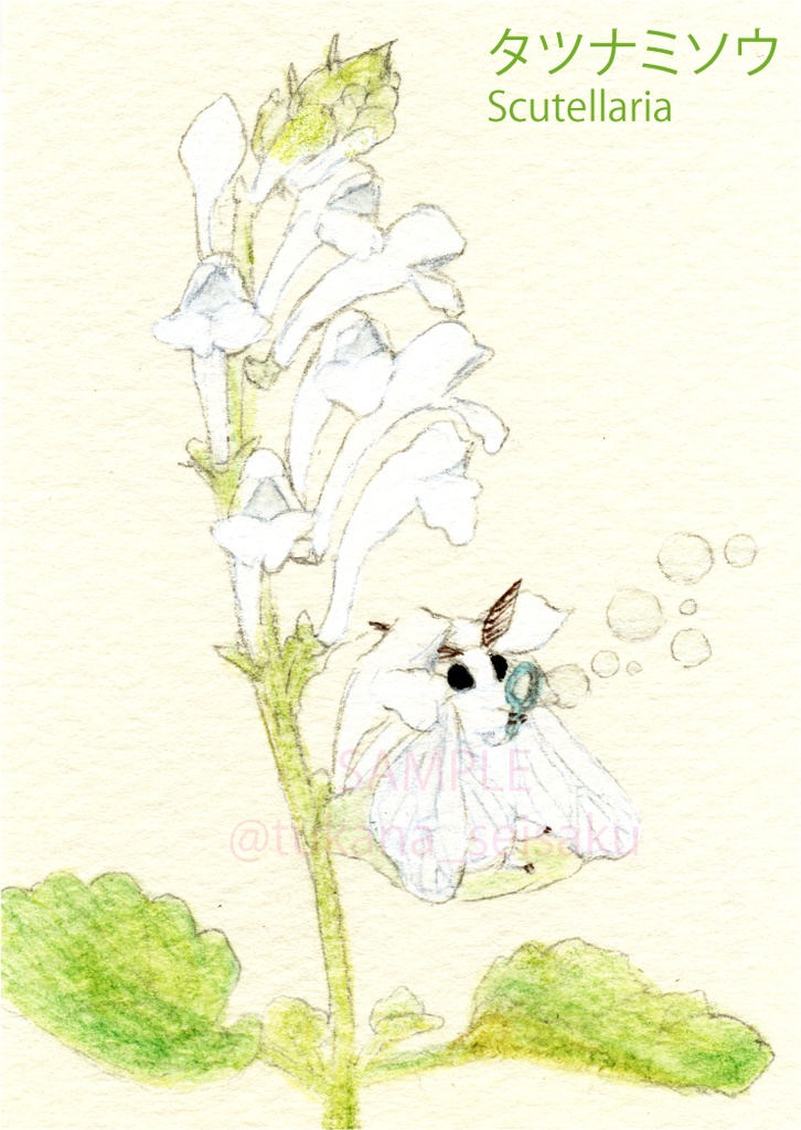 【完成品】額装イラスト原画:ふわふわな方々(Fluffy fellows)