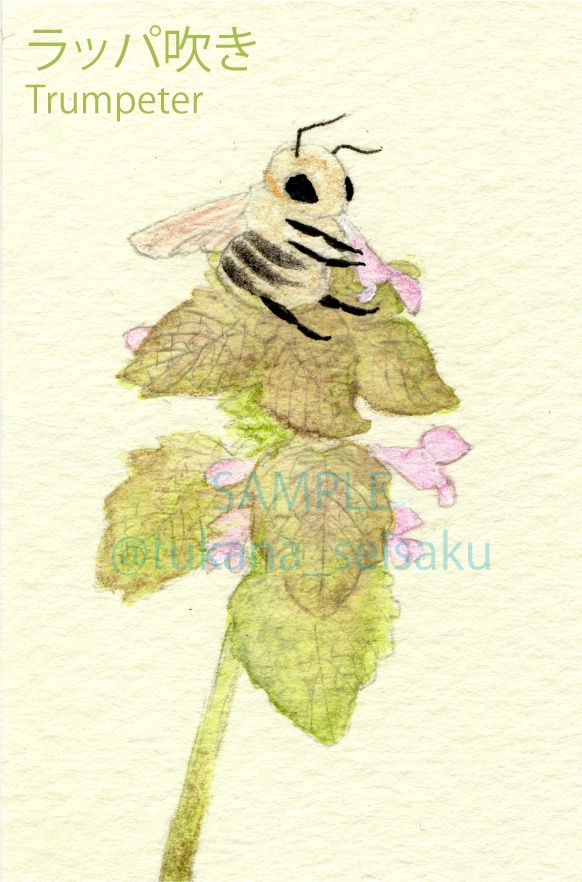 【完成品】額装イラスト原画:ふわふわな方々(Fluffy fellows)