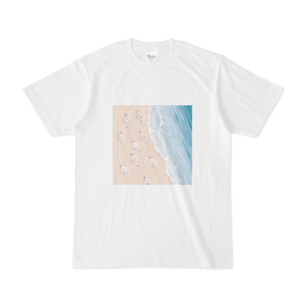 浜部のミユビシギ