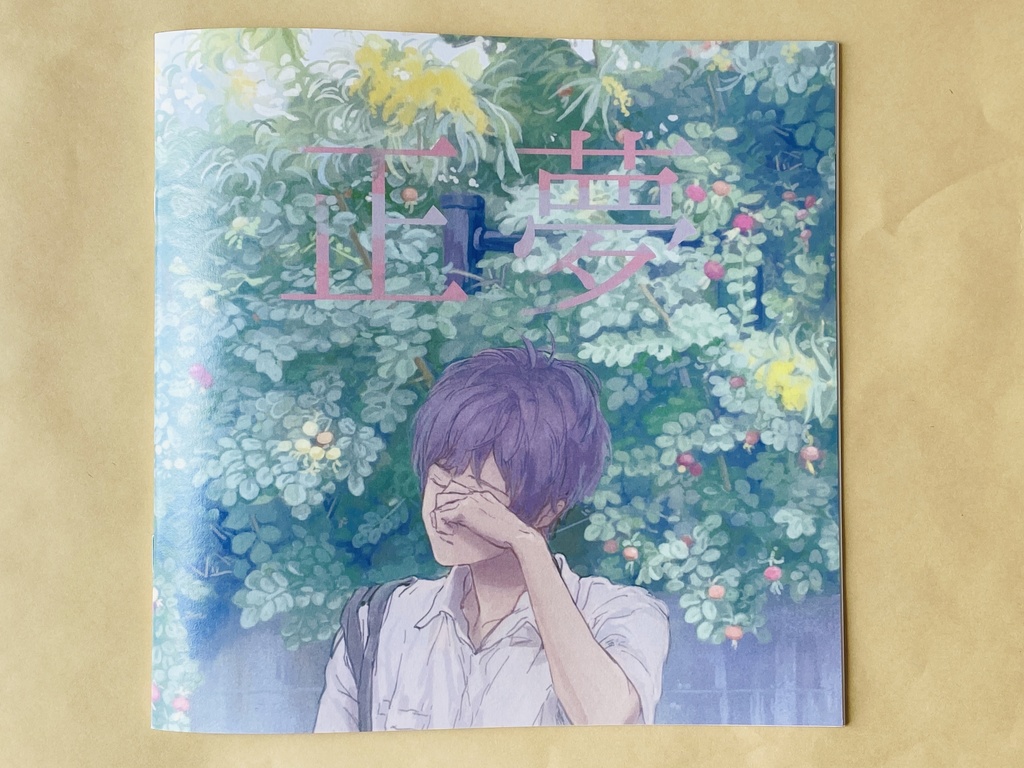 正夢