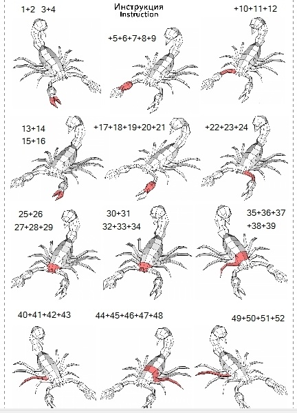 Papercraft Scorpio PDF template Scorpio PDF template (without texture or color).