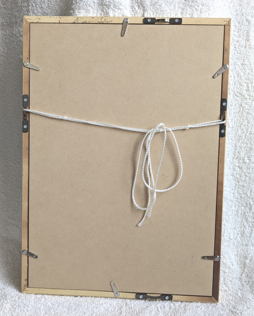 【原画】然る死神の奇劇(額装済)