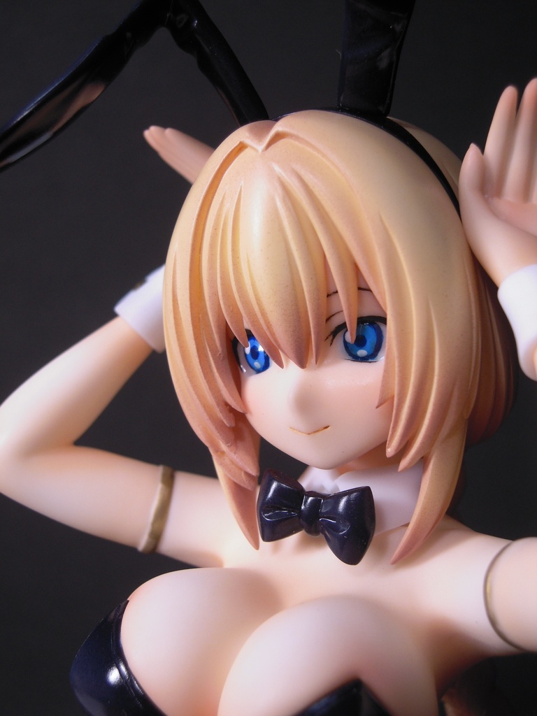 【数量限定!!初回特別価格】オリジナルガレージキット バニーガール