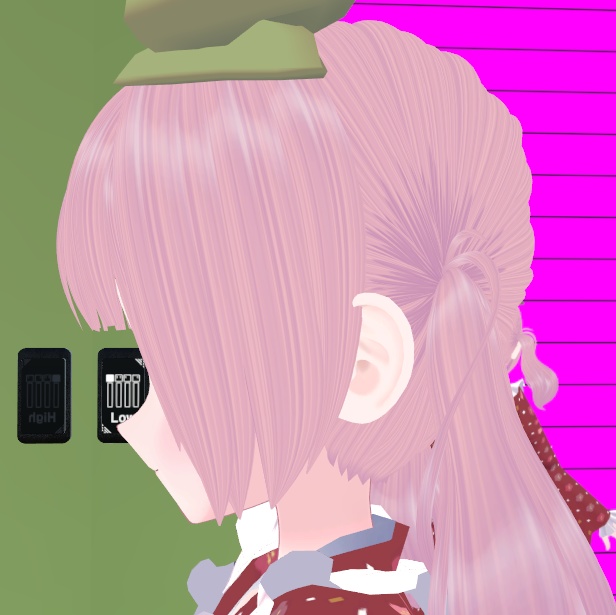 人間の耳【VRChat】